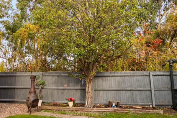 Woad Lane, Great Coates