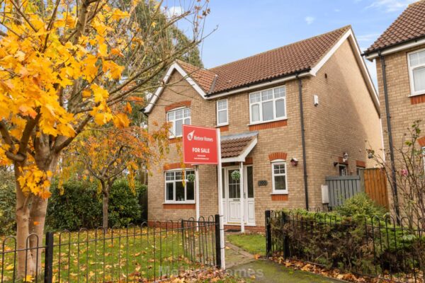 Woad Lane, Great Coates