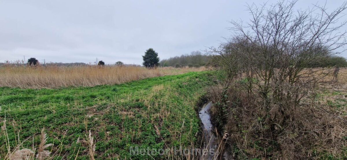 Chestnut Avenue, Immingham