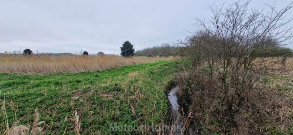 Chestnut Avenue, Immingham